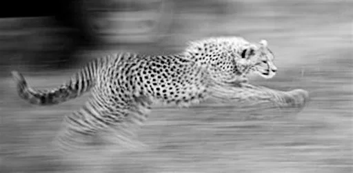 Edinburgh Photographic Society Exhibition at Edinburgh Photographic Society and Exhibition Centre