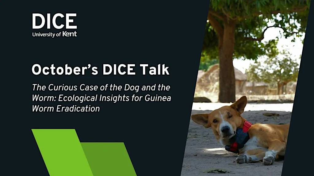 The Curious Case of the Dog and the Worm | #DICETalks at Templeman Library