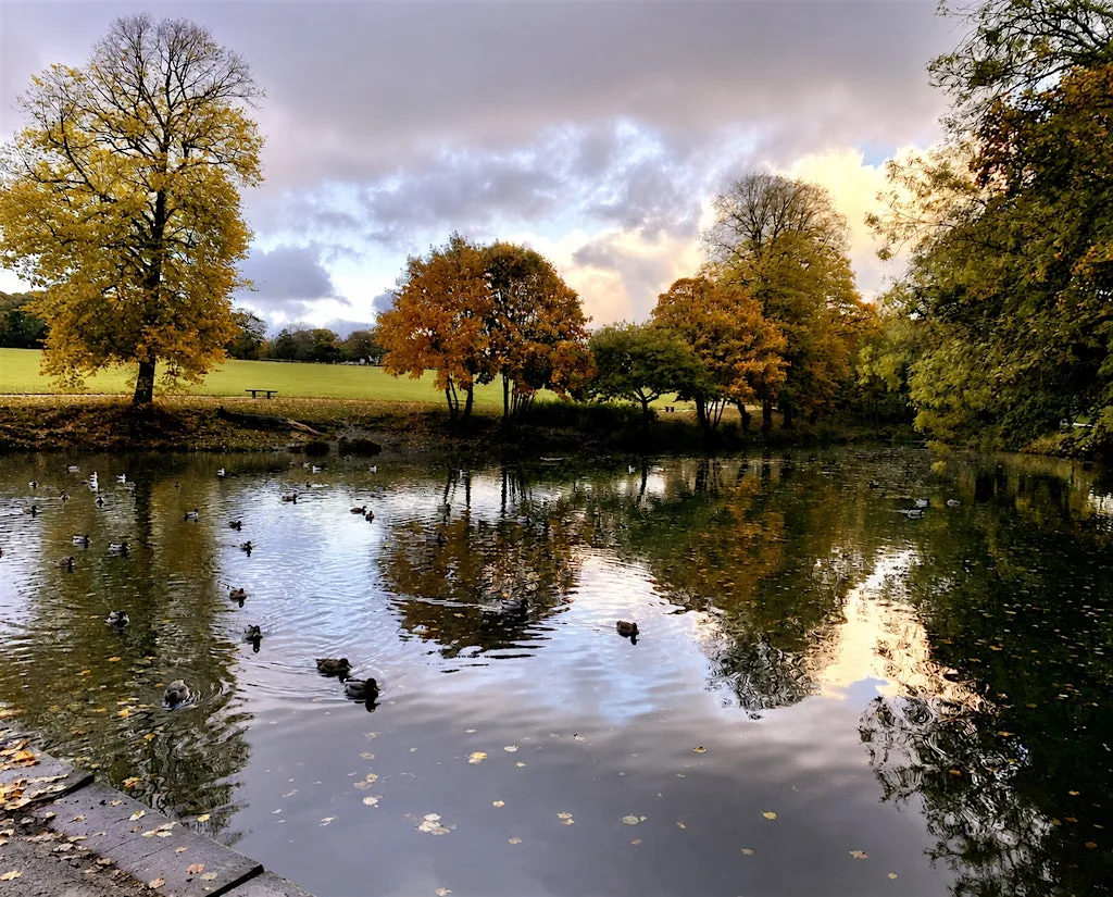 Out of Office - Sheffield Netwalking at Graves Park