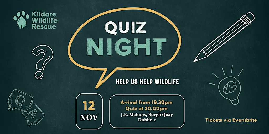 Pub Quiz for Kildare Wildlife Rescue at J.R. MAHON'S