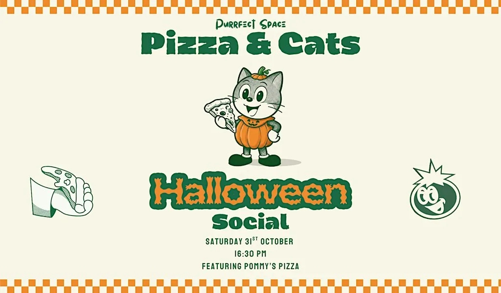 Pizza and Cats | Halloween Special at Purrfect Space