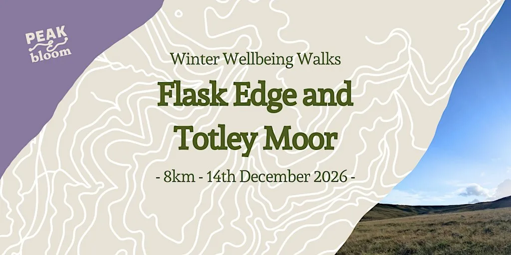 Flask Edge & Totley Moor | Peak District | Winter Wellbeing Walk