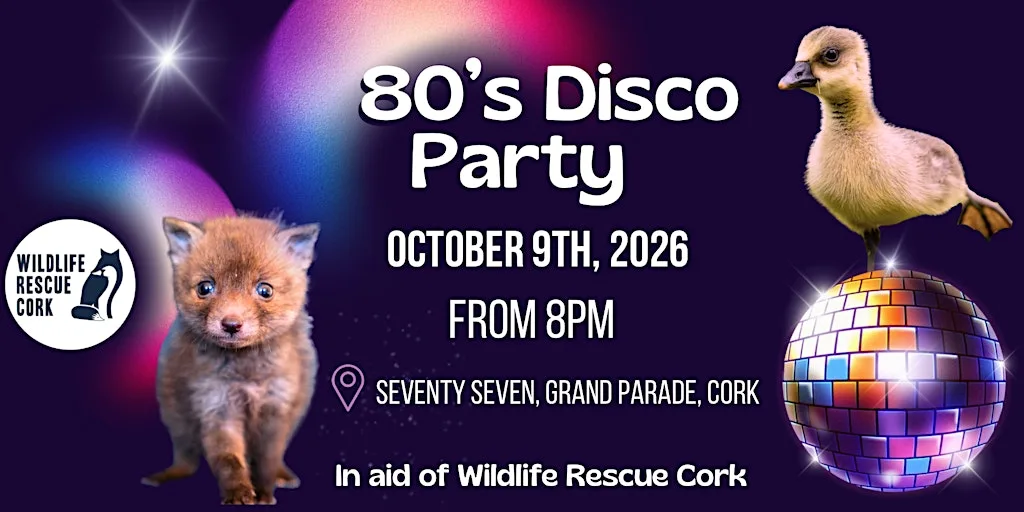 80's Disco In aid of Wildlife Rescue Cork at Seventy Seven