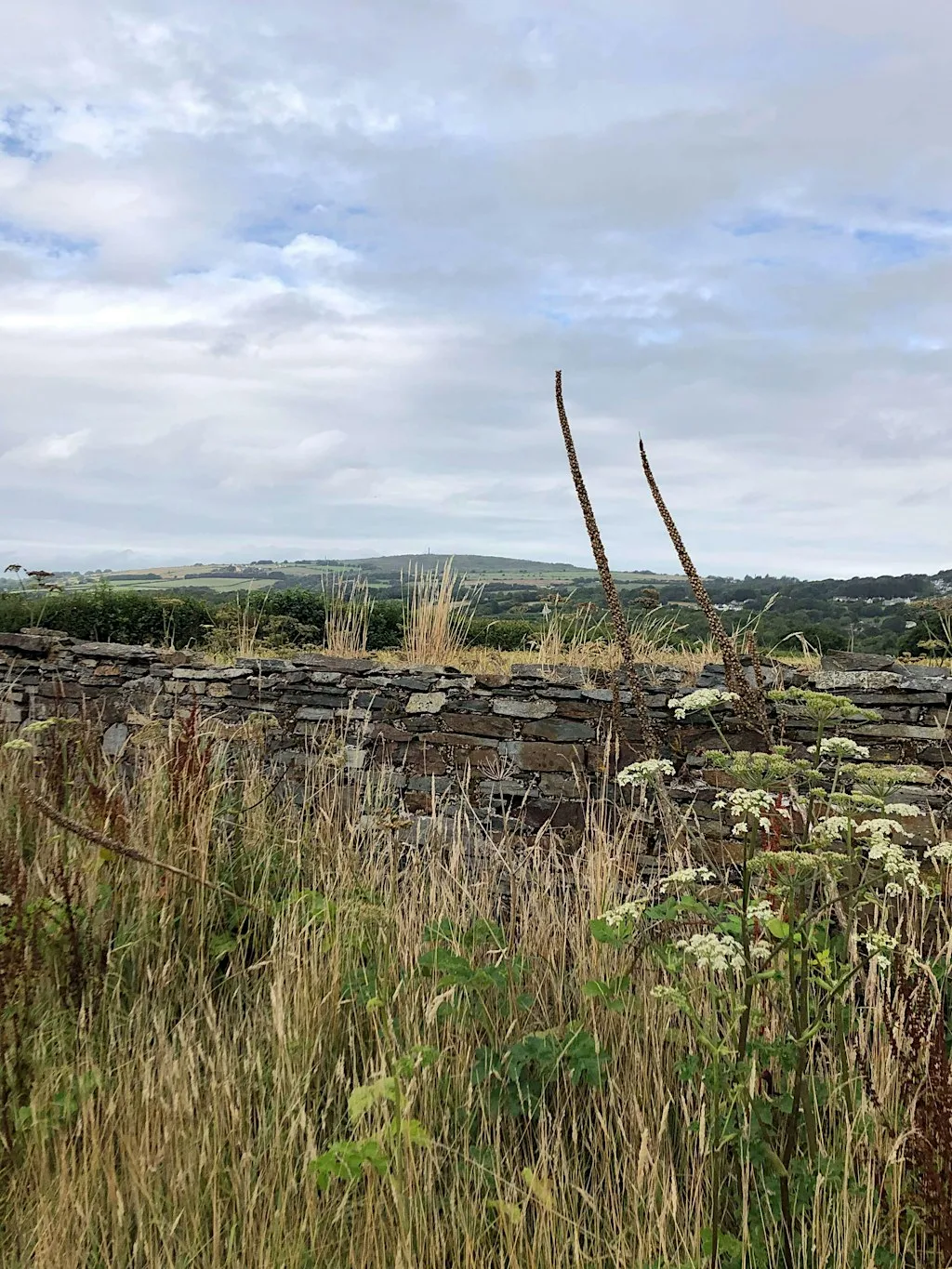 2-Day Stone Walling Course at Lower Metherell (Weekend 1/2) at Lower Metherell