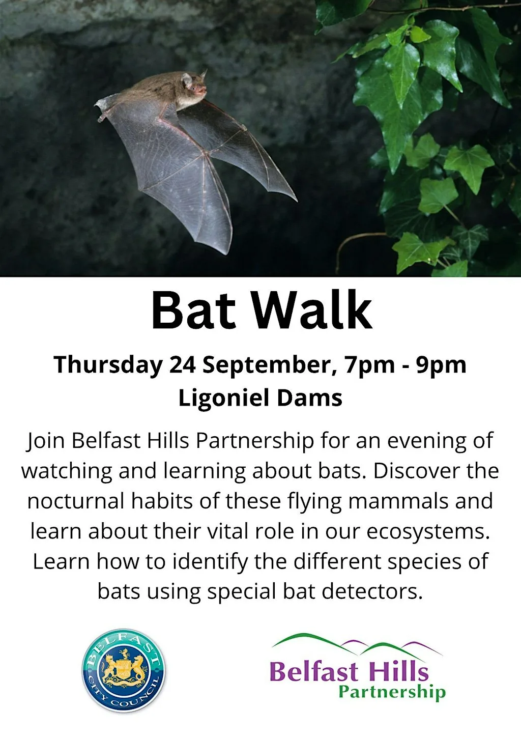 Bat Walk at Ligoniel Dams