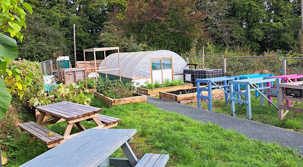 Wildflower Nursery Meet & Grow Session at Chiltern Rangers Depot