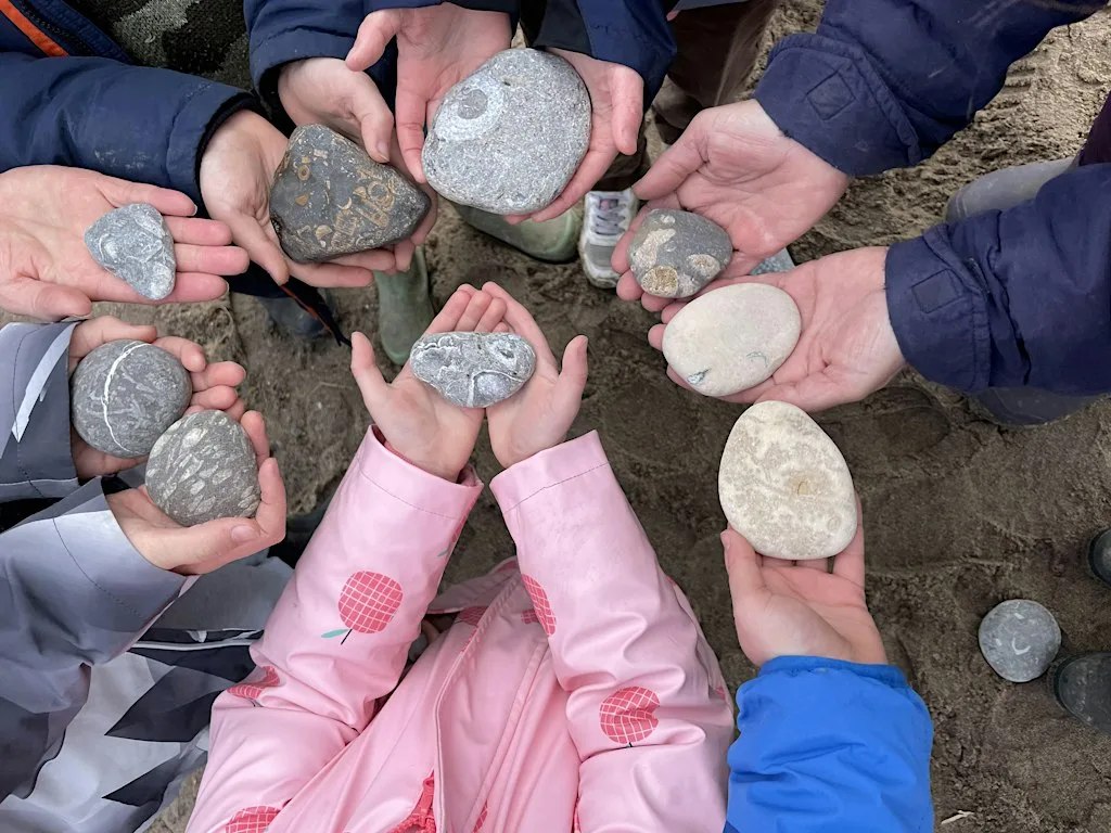 Secrets of the Shore at Spurn Discovery Centre