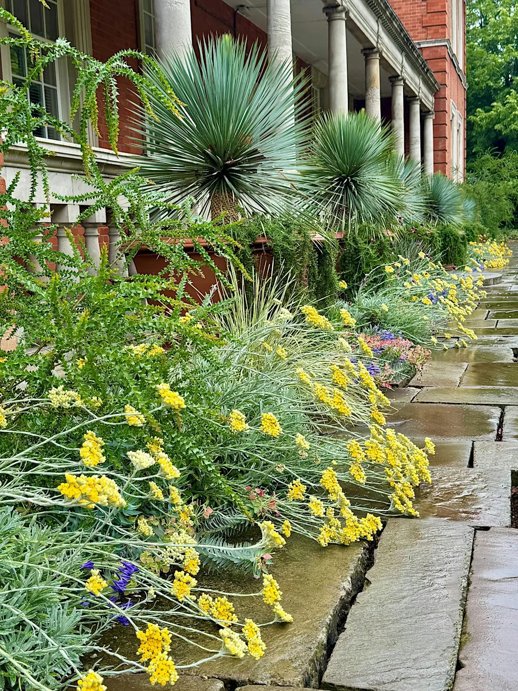 The Royal Parks: Gardening for People and Planet (LIVE) at St John’s Church, Waterloo