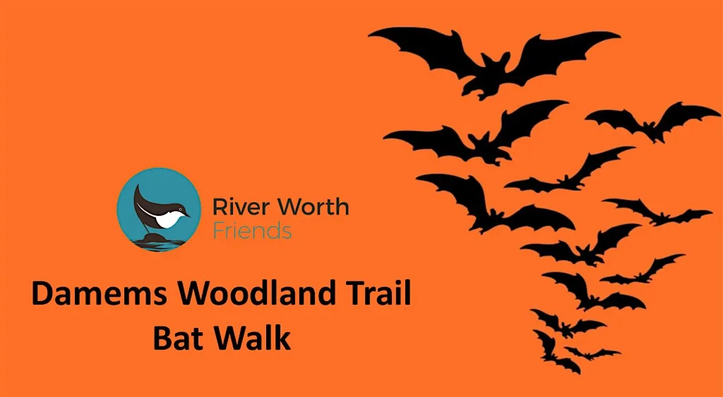 Damems Woodland Trail Bat Walk at Damems Woodland Trail