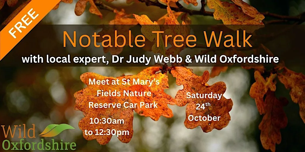 Notable Tree Guided Walk, Kidlington - with Dr Judy Webb & Wild Oxfordshire