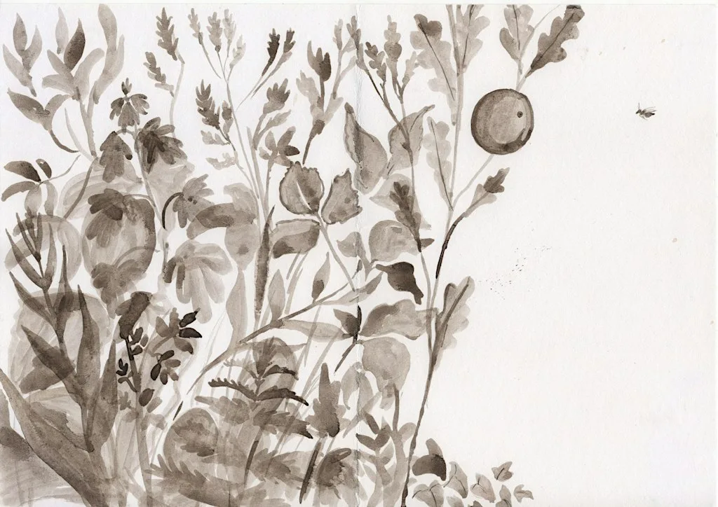 Introduction to Nature Writing: Textures of the New Forest at Hythe Library