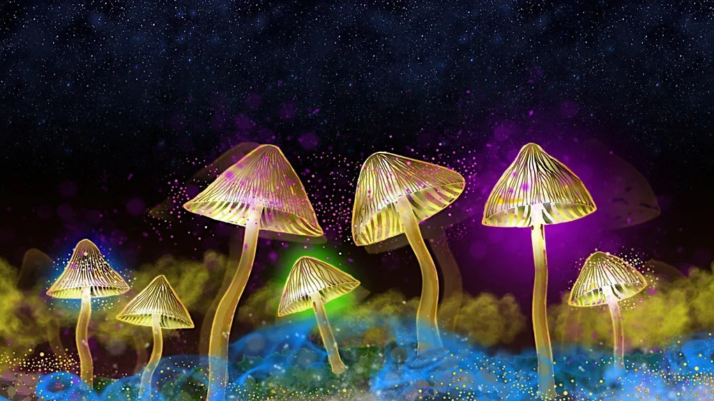 The Science of Psychedelics with Dr David Luke