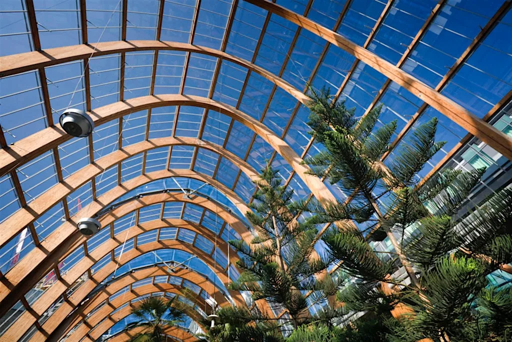Sheffield city centre tree walk