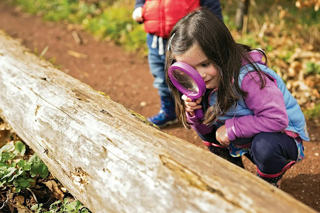 Spurn Detectives