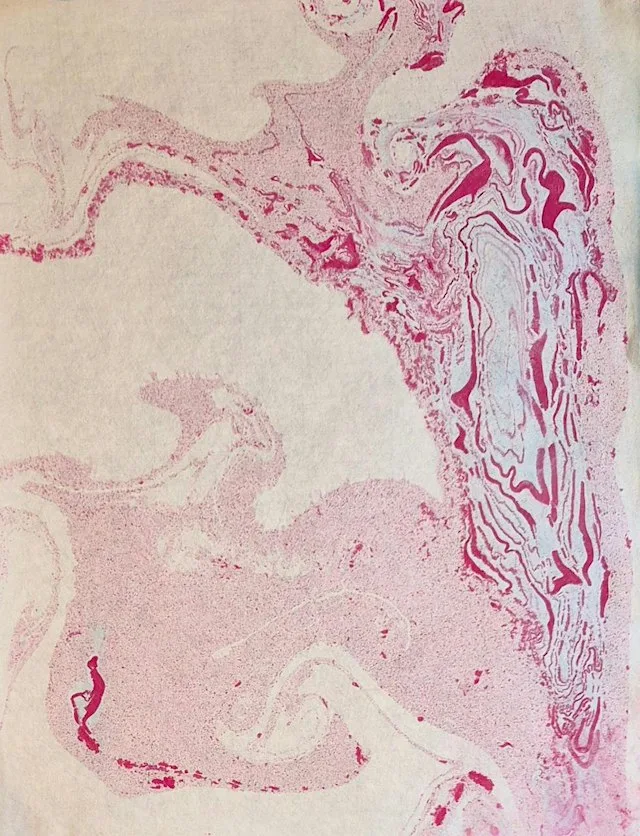Carol O’Dea: SUMINAGASHI The ancient art of Japanese Marbling - SECOND DATE