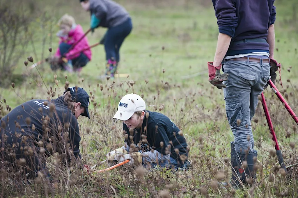 Family-friendly community work party at Nightingale Community Garden