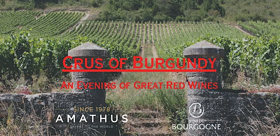 Crus of Burgundy with a Master of Wine | Amathus Elgin Crescent at Amathus Notting Hill - Elgin Crescent