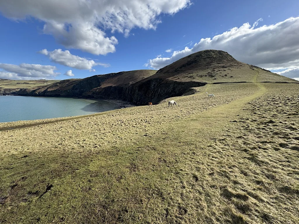 Environmental Aesthetics & Valuing the Natural World: A BSA/WAF Workshop