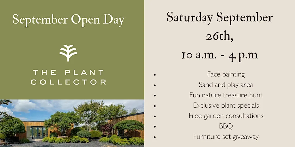 The Plant Collector September Open Day at The Plant Collector