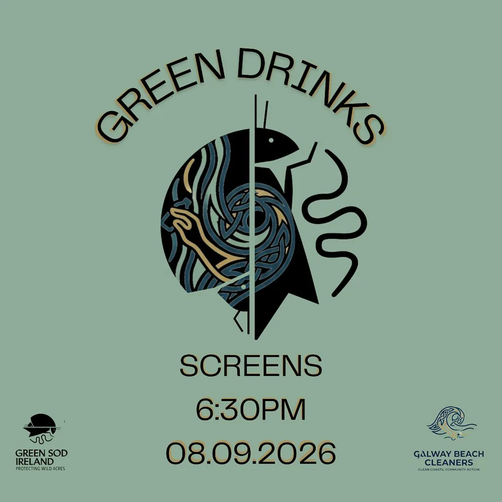 Galway City Green Drinks - October 13th 2026
