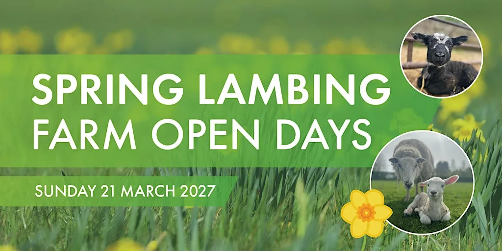 Spring Lambing Farm Open Day - Sunday