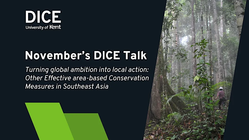 Turning Global Ambition into Local action | #DICETalks