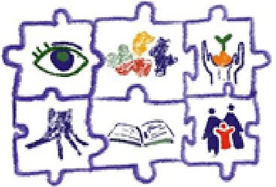Introduction to Cerebral Vision Impairment (CVI)