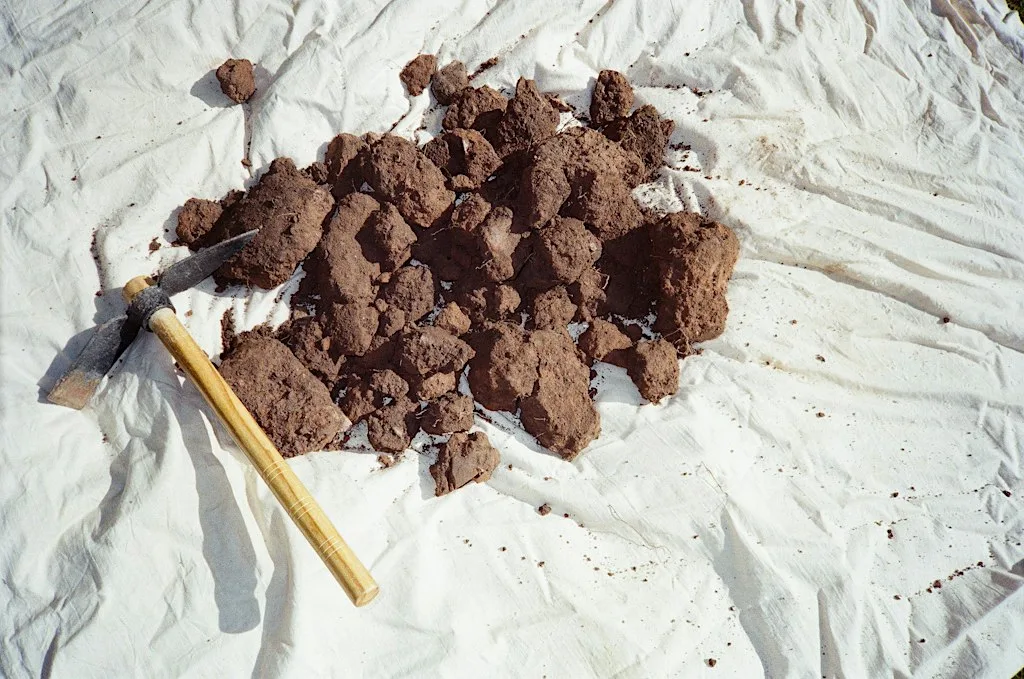 Mud Club Harvest - Three Week Course at Pollard Yard