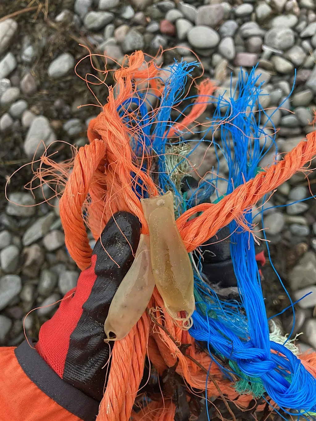 Rubbish discussion: A collaborative conversation about coastal litter at Greyhope Bay Centre