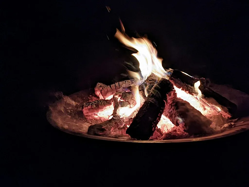 Wild in the Meadows (Trumpington Meadows): families around the fire