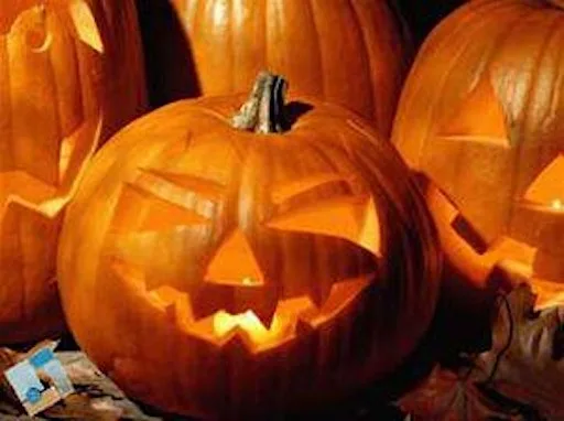 Fingringhoe spooktacular at Fingringhoe Wick Nature Discovery Park