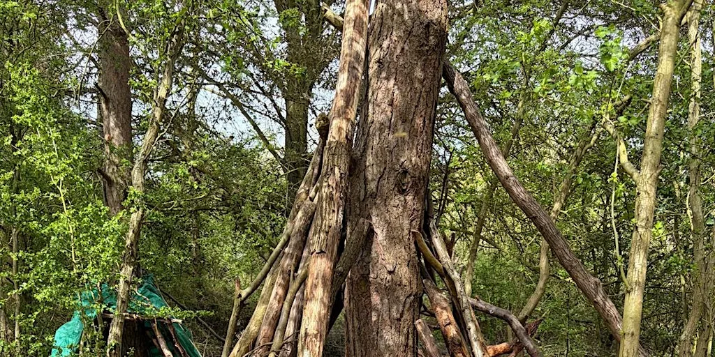 Fingringhoe: welcome to the stone age at Fingringhoe Wick Nature Discovery Park