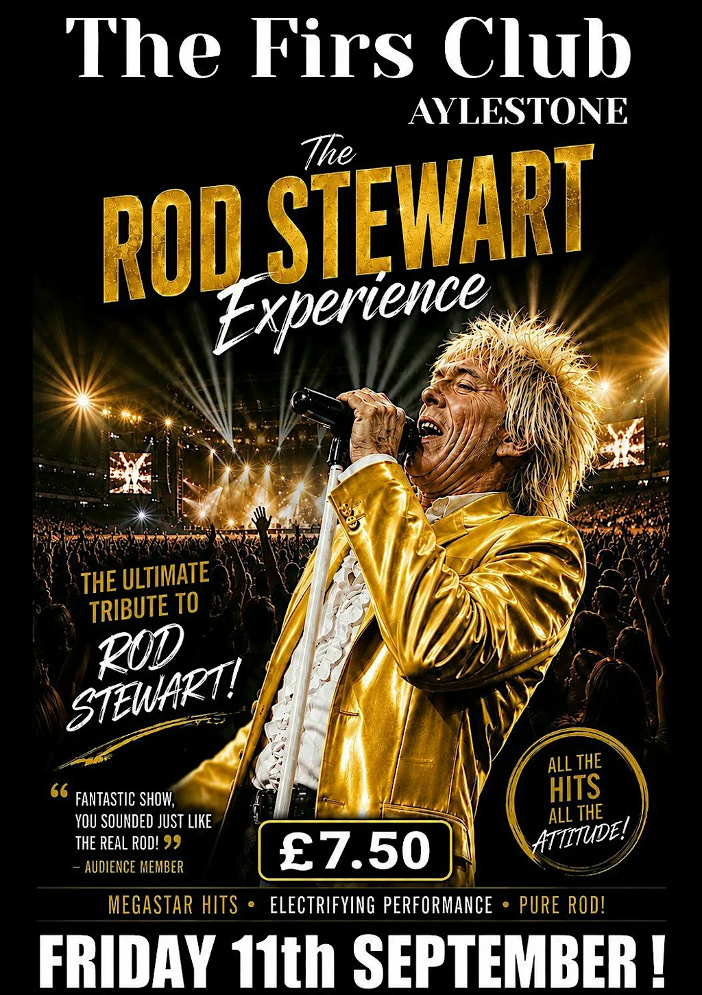 Rod Stewart Experience