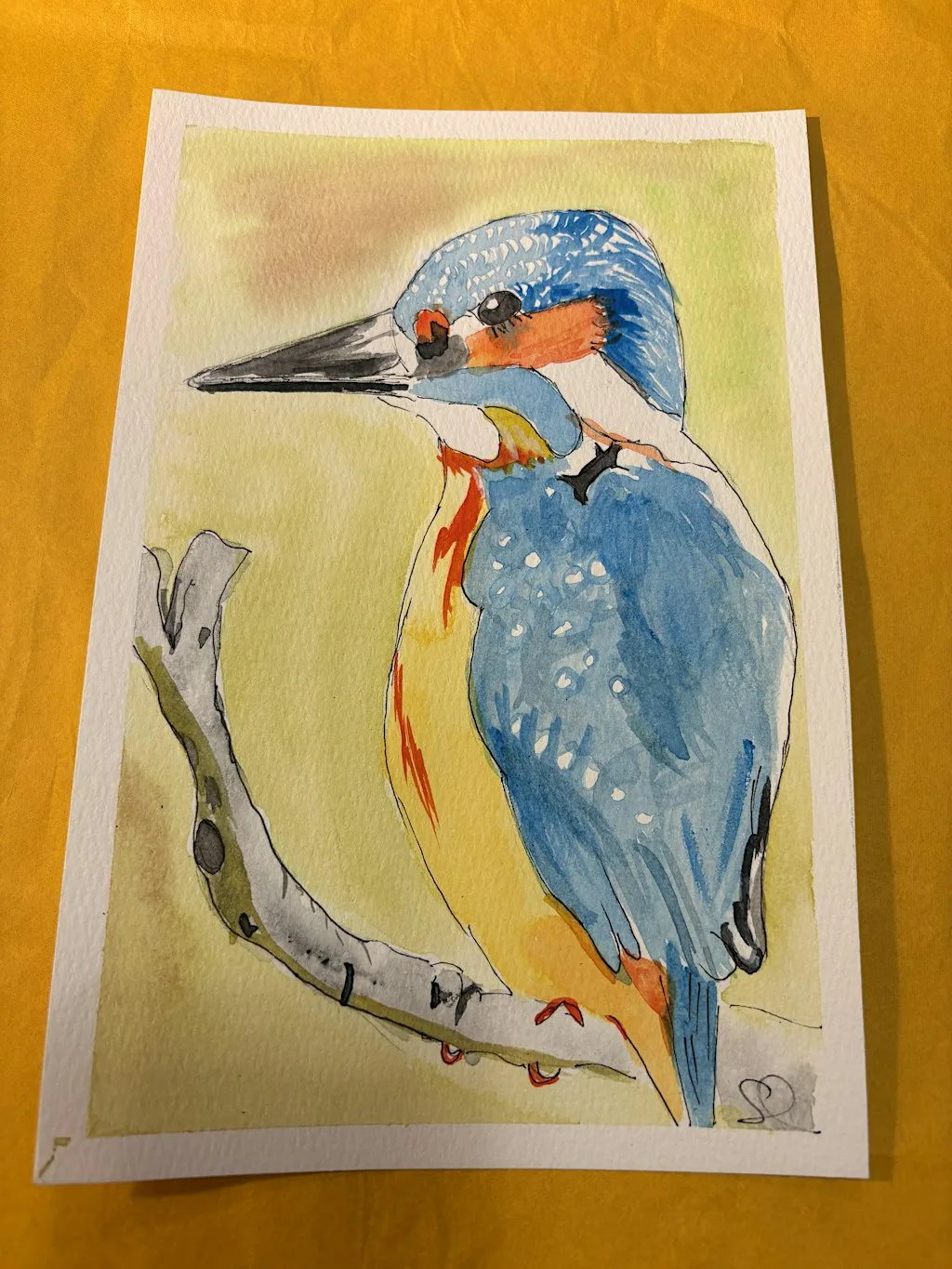 Watercolour and Ink Bird Painting Workshop at Broadstone Mill Shopping Outlet