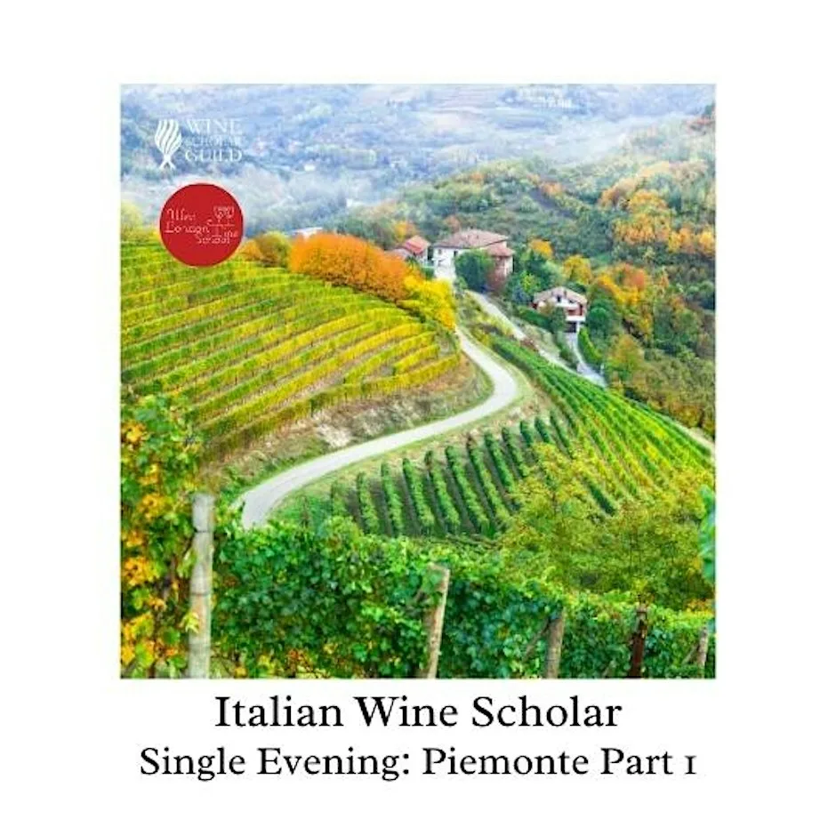 Italian Wine Scholar - Unit 1 - Piemonte Part 1 at West London Wine School