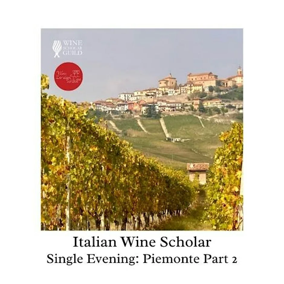 Italian Wine Scholar - Unit 1 - Piemonte Part 2 at West London Wine School