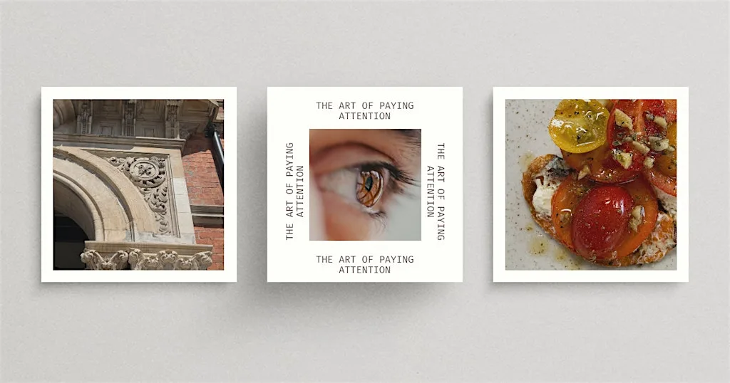 The Art of Paying Attention - Edition 01 at Salt & Fettle