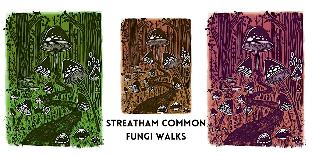 Guided fungi walks - Streatham Common