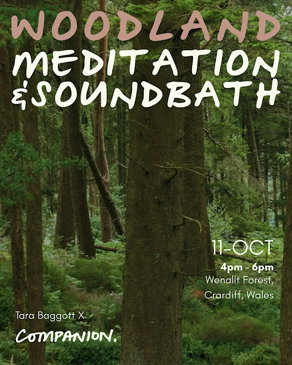 Woodland Nature Meditation & Soundbath