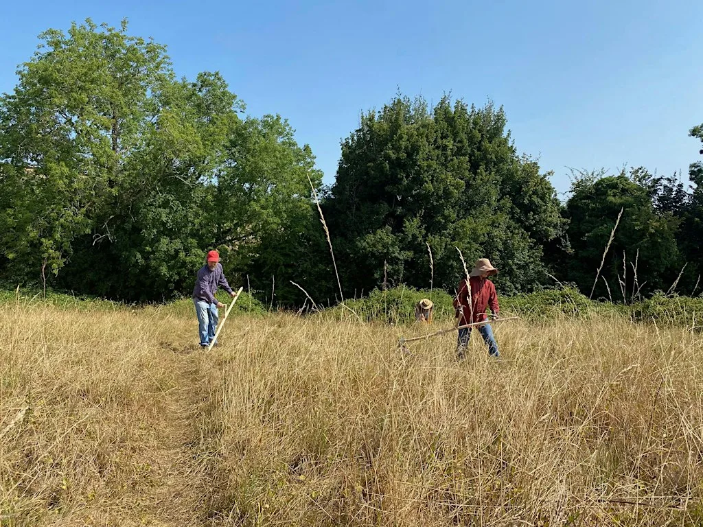 Singing and scything
