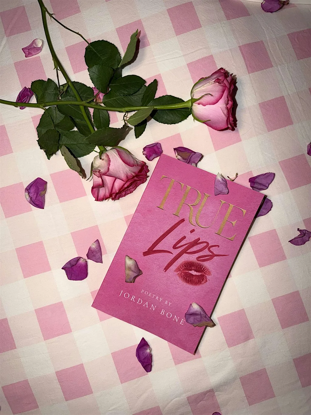 True Lips book launch at The Plot Twist