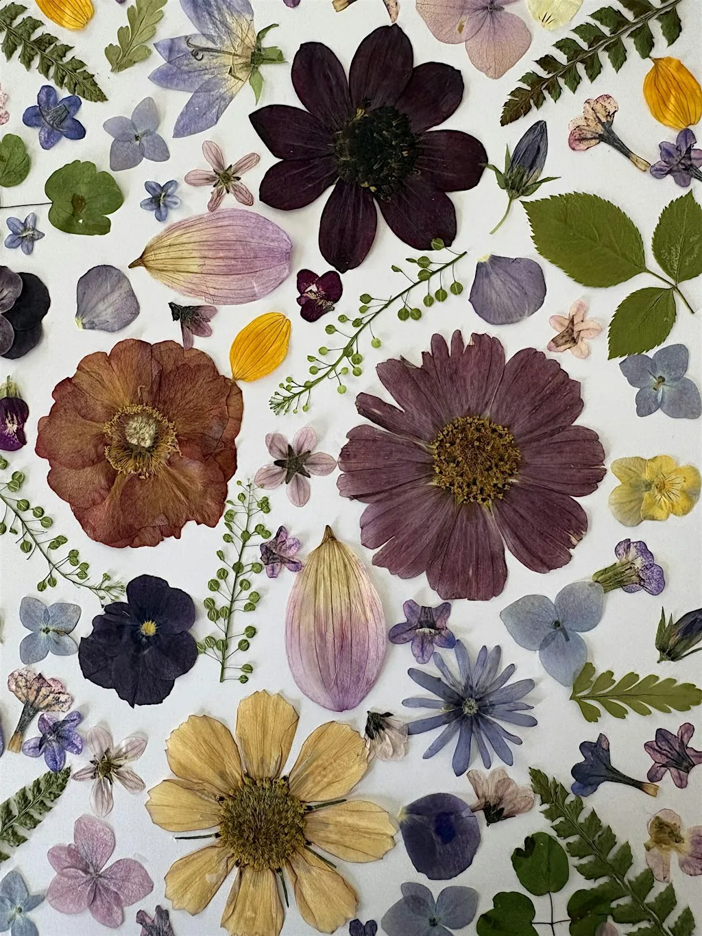 Pressed Flower Floral Art Workshop at Claremont Stadium Navan