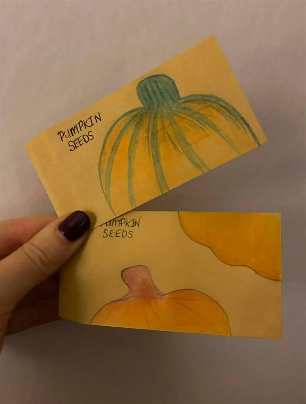 Seed Saving & Botanical Art Workshop at Chester Lane Library