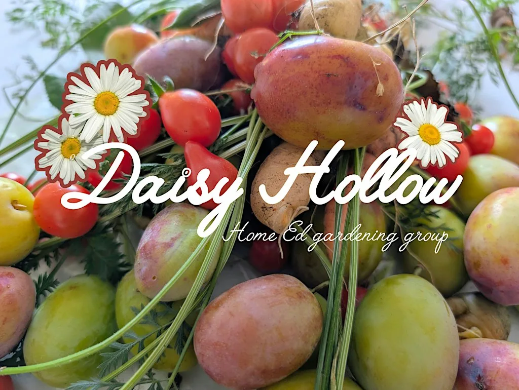 Daisy Hollow Home Ed Gardening Group - Equinox Party at Waunfawr Park