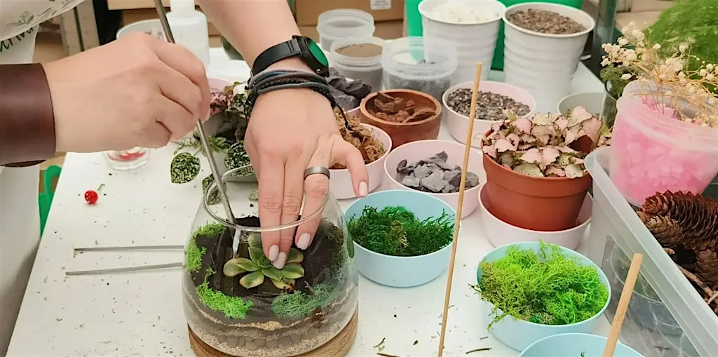 Closed Terrarium Workshop - 19/09/2026 at Fonthill Road