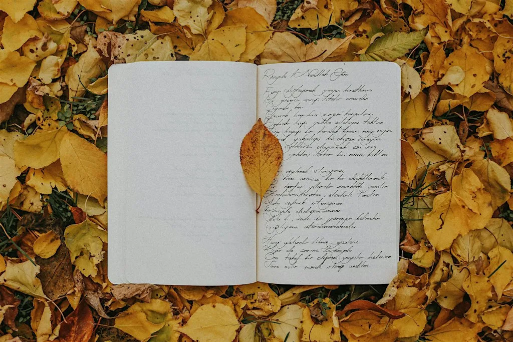 An Introduction To Nature Journalling