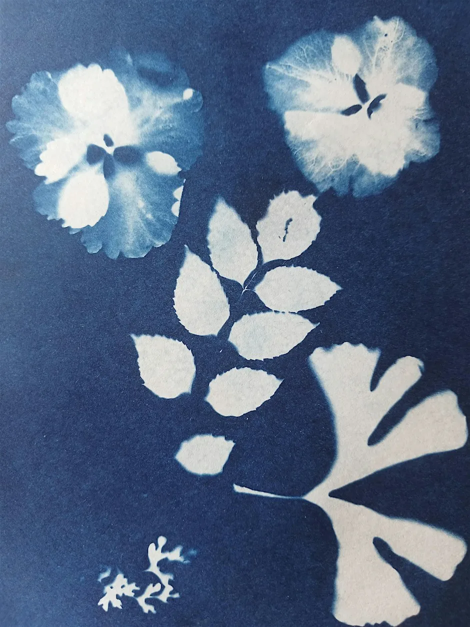 CYANOTYPE PRINT WORKSHOP at The Parochial Church Hall
