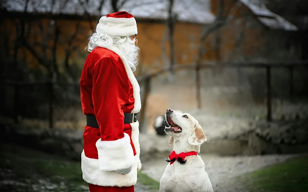 Pet pictures with Santa at The Dunham Barn