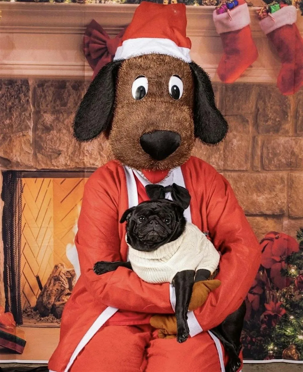 Meet & Greet with Santa Paws!