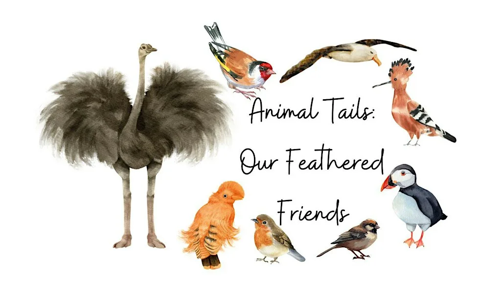Animal Tails: Our Feathered Friends at Museum Of Zoology